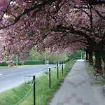 Apartman Antal