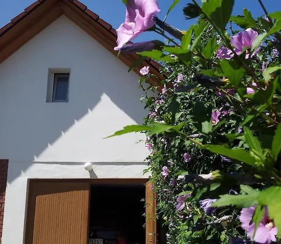 Apartament Antal